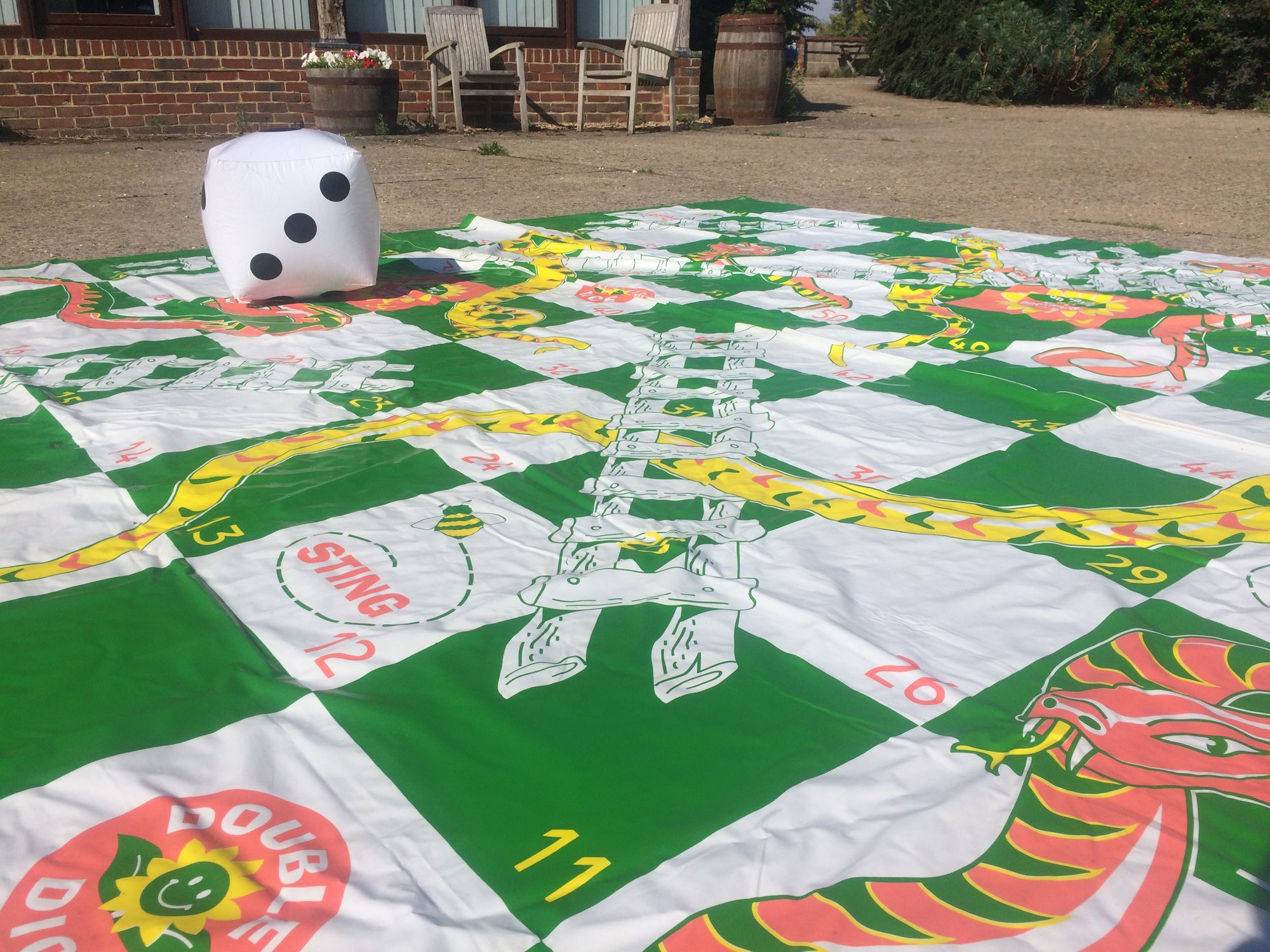 Giant Snakes and Ladders